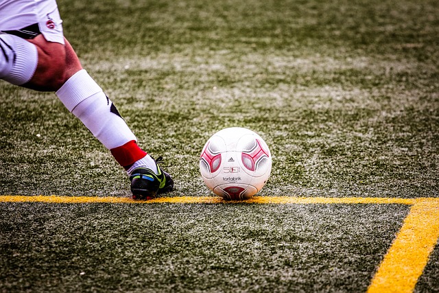 带领沙特踏 带领沙特踏