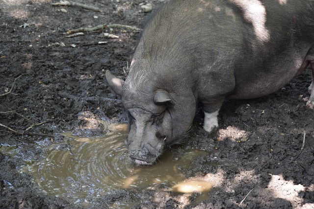 市場驅動 市場驅動