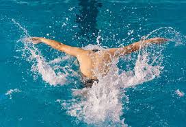 仅表达了对 仅表达了对